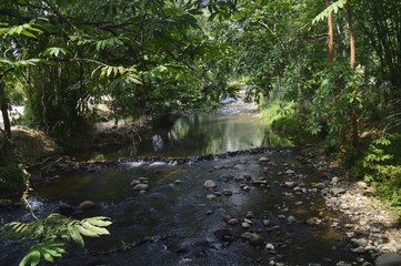 the scenic view of the river