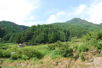 千枚田