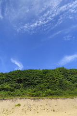 Fototapeta na wymiar blue sky over a green line on the beach