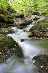 Obraz premium Ulfenbach