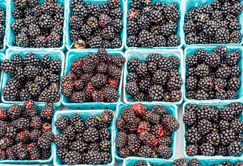 Blackberries at the farmers market