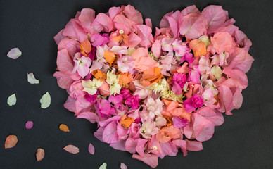 Heart of the petals of the bougainvillea