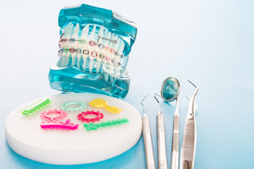 orthodontic model and dentist tool - demonstration teeth model of varities of orthodontic bracket or brace