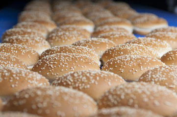 Baked buns with sesame on the production line