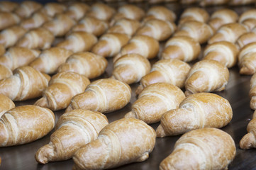 Baked croissants group on the production line