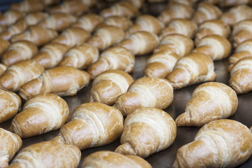 Baked croissants group on the production line