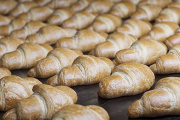 Baked croissants group on the production line