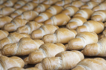 Baked croissants group on the production line