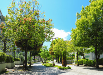 閑静な住宅街