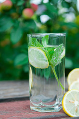 Water with lemon and mint in a transparent glass with facets. On an old wooden table. In the background, the green foliage is a soft blurred focus.