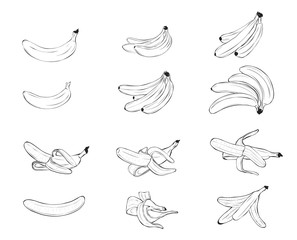 Set. Peeled banana in the peel. Vector. Fruit. Black and white.