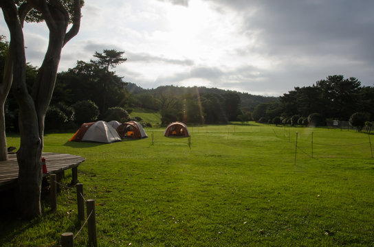 231 Best ボーイスカウト Images Stock Photos Vectors Adobe Stock