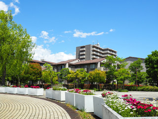 青空と閑静な住宅街