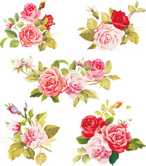 Beautiful isolated flowers on the white background. Set of different beautiful floral design elements.