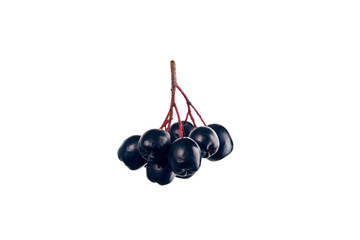 Black aronia isolated on white background. Healthy diet food.
