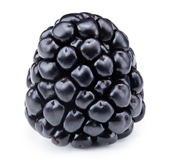 Blackberries isolated on white
