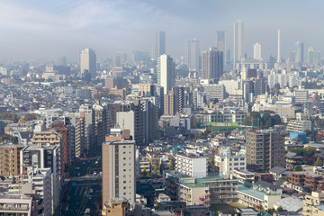 Fototapeta na wymiar cityscape of tokyo city skyline from skyscraper view, modern business office building with blue sky background in Tokyo metropolis city, Japan.