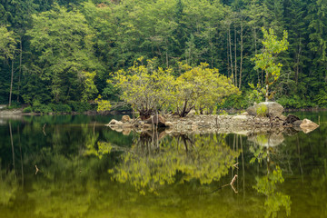 tiny islet on the lake with reflection on the water surface