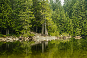 Fototapeta premium calm lake with the reflection of surrounding trees on a cloudy day