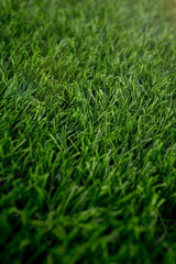 Artificial grass prototype