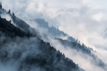 Photo sur Plexiglas Arbres Pente de montagne boisée dans le brouillard de la vallée basse avec des silhouettes de conifères à feuilles persistantes enveloppées de brume.
