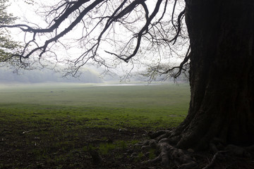 mountain lake landscape and country field