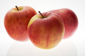 ripe red apples harvest autumn natural product vegetables