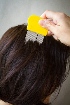 peigne &agrave; poux