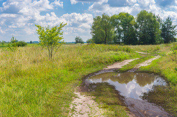 Fototapeta na wymiar Summer landscape with meandering earth road in Poltavskaya oblast, Ukraine