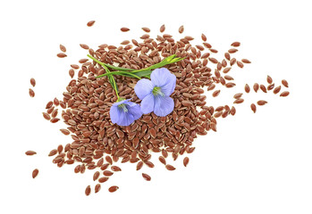 Flax seeds and flax flowers on a white background