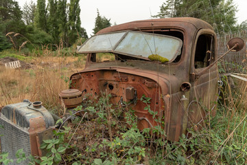 A rusty truck at the backyard