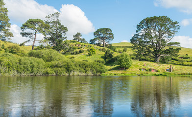The landscape and beautiful nature in Alexandra Farms in Matamata, New Zealand.