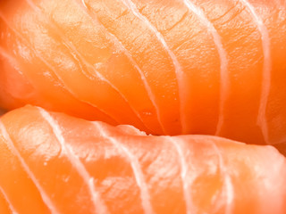 japanese food salmon and tuna sushi delicious