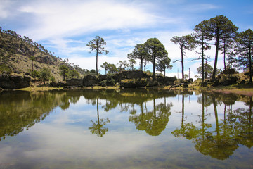 Laguna temporal. Laguna de montaña