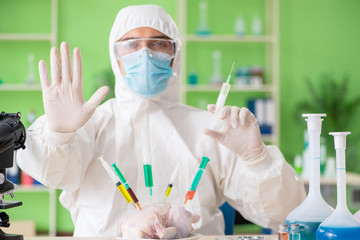 Lab assistant testing GMO chicken