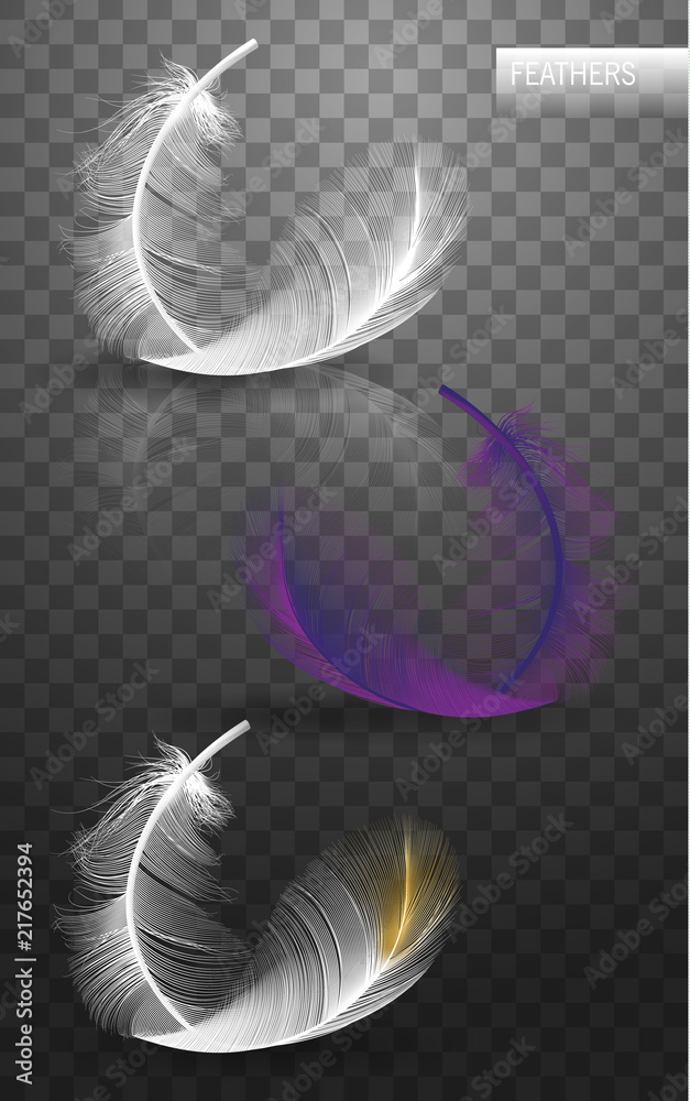 Wall mural isolated falling fluffy twirled feathers on transparent background in realistic style. vector illust