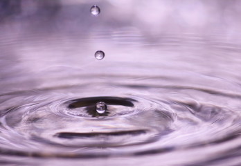 beautiful fresh water drops in fresh nature