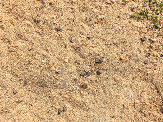 Sand texture background