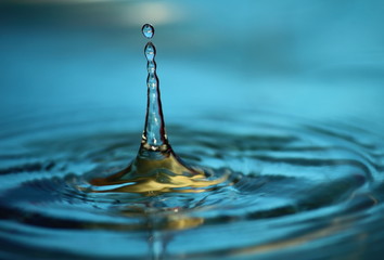 Fototapeta na wymiar beautiful fresh water drops in fresh nature