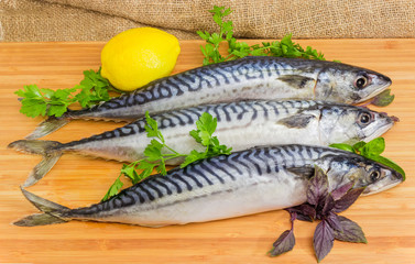 Uncooked Atlantic mackerel with lemon and greens on cutting board
