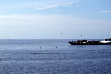 Beautiful picturesque seascape with old half-submerged barge and a flock of seagulls around