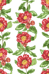 Seamless pattern in vector drawing with vectical branch of blooming pomegranate flowers