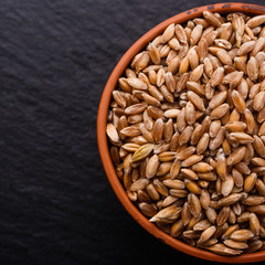 spelt seeds on a dark stone background