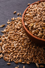 spelt seeds on a dark stone background