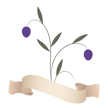 Olive branches and purple olives isolated on white background. Border with space for text