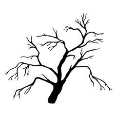hand drawn dead tree, vector
