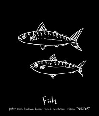 해산물 일러스트 / 손으로 그린 수산물 그림