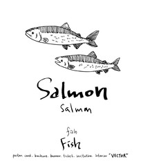 해산물 일러스트 / 손으로 그린 수산물 그림