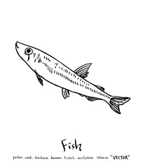 해산물 일러스트 / 손으로 그린 수산물 그림