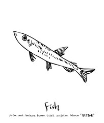 해산물 일러스트 / 손으로 그린 수산물 그림